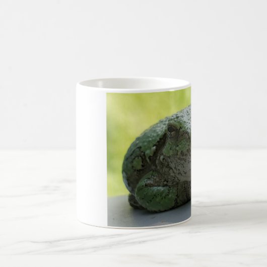 Boomkikker mok (Center)