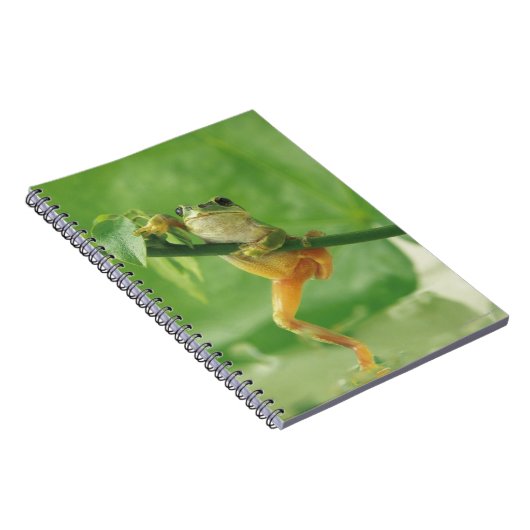 Boomkikker Notitieboek (Rechterzijde)