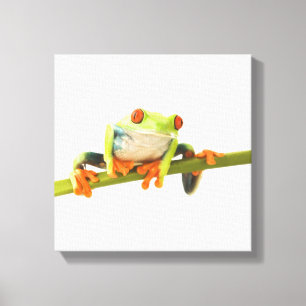 Boomkikker op de steel canvas afdruk