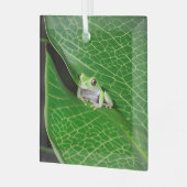 Boomkikker op een blad glas ornament (Voorkant links)
