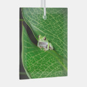 Boomkikker op een blad glas ornament (Voorkant Rechts)