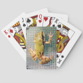 Boomkikker op scherm Sluit foto Speelkaarten (Achterkant)