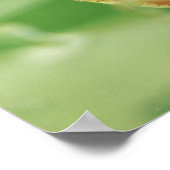 Boomkikker Poster (Hoek)