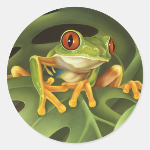Boomkikker Ronde Sticker