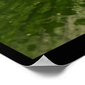 Boomkikker - Safari Park Knowsley Poster (Hoek)