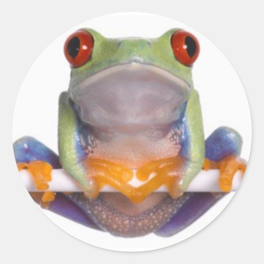 Boomkikker Sticker 2 (Voorkant)