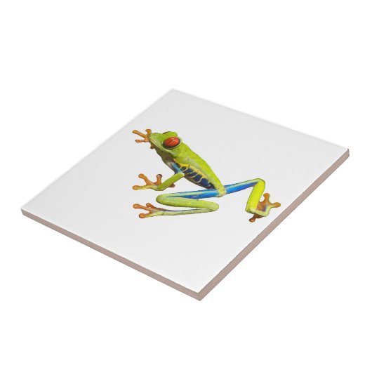 Boomkikker Tegeltje (Zijkant)