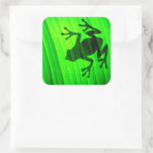 Boomkikker Vierkante Sticker (Tas)