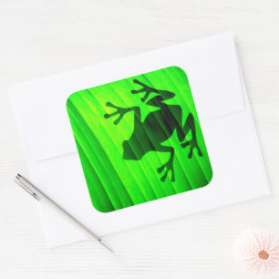 Boomkikker Vierkante Sticker