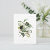 Boomkikkers Briefkaart (Staand voorkant)