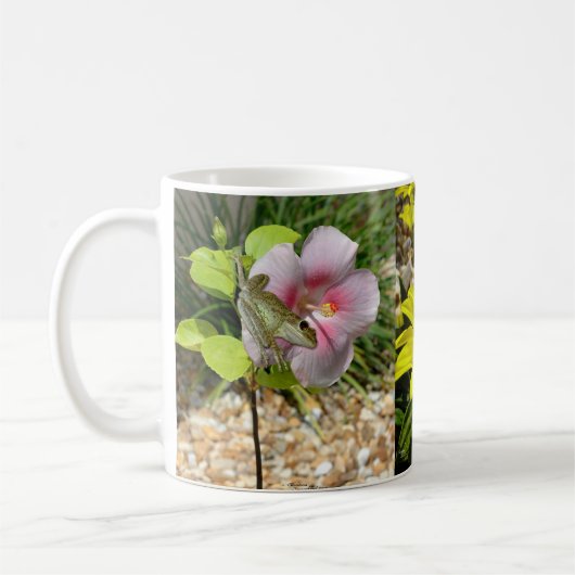 Boomkikkers Hibiscus bloemen Mok (Links)