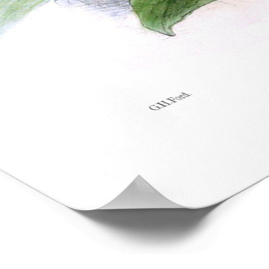 Boomkikkers Poster (Hoek)