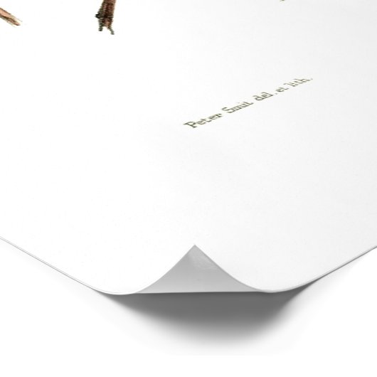 Boomkikkers Poster (Hoek)