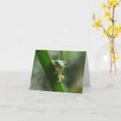 Boomkikkervisje Wenskaart Kaart (Gele Bloem)