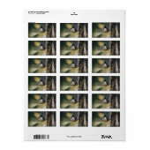 Boomklever Etiket (Full Sheet)