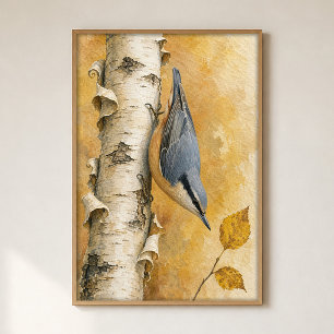 Boomklever op een berkenstam Aquarel Poster