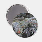 boomknoppen magneet (Voorkant / Achterkant)