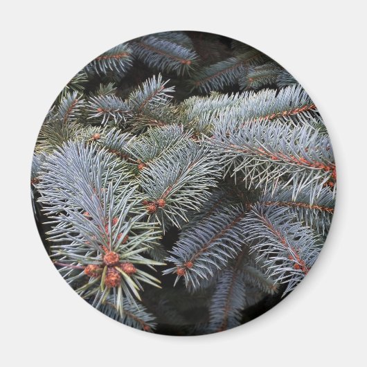 boomknoppen magneet (Voorkant)