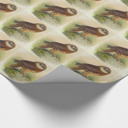 boomkor cadeaupapier (Hoek)