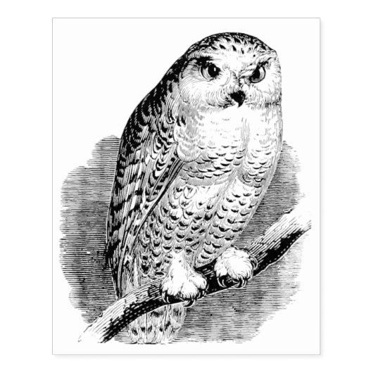 boomkor op Branch Rubber Art Stamp Rubberstempel (Afrduk)