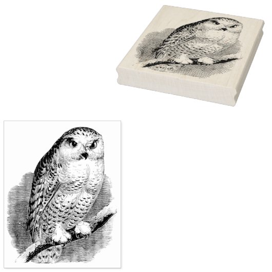  boomkor op Branch Rubber Art Stamp Rubberstempel (Gestempeld)