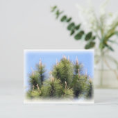 boomkruis briefkaart (Staand voorkant)