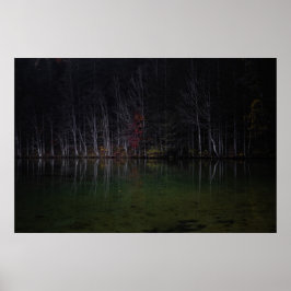 Boomlandschap bij meer poster
