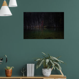 Boomlandschap bij meer poster