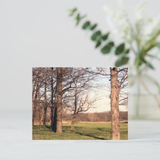 Boomlandschap Briefkaart (Staand voorkant)