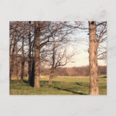 Boomlandschap Briefkaart (Voorkant)