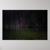 Boomlandschap in het meer poster (Voorkant)