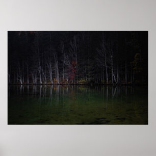 Boomlandschap in het meer poster