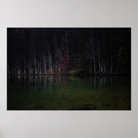 Boomlandschap in het meer poster (Voorkant)