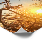 boomledemaatpictogrammen poster (Hoek)