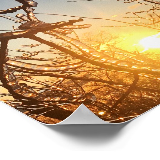 boomledemaatpictogrammen poster (Hoek)