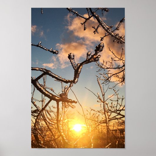 boomledemaatpictogrammen poster (Voorkant)