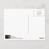 Boomlichten bij Klyde Warren Park Briefkaart (Achterkant)