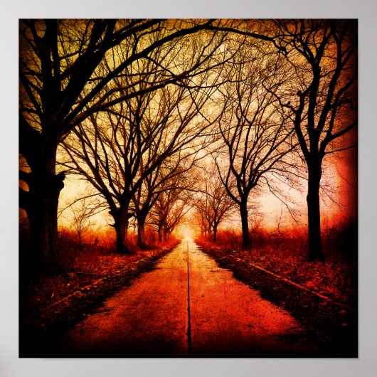 Boomlijnd pad poster (Voorkant)