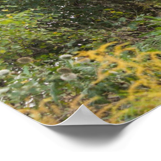 Boomlijnde Weg in het najaar Poster (Hoek)