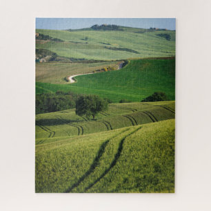 Boomlijnen in een groen Toscaans landschap Legpuzzel