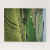 Boomlijnen in een groen Toscaans landschap Legpuzzel (Horizontaal)