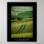 Boomlijnen in het zwarte poster van Toscane (Voorkant)