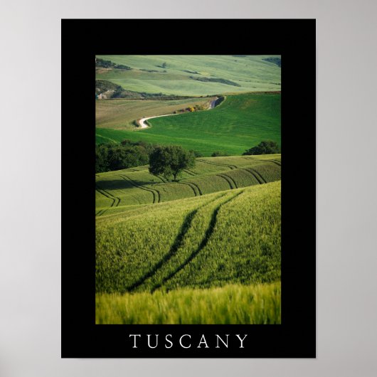 Boomlijnen in het zwarte poster van Toscane (Voorkant)