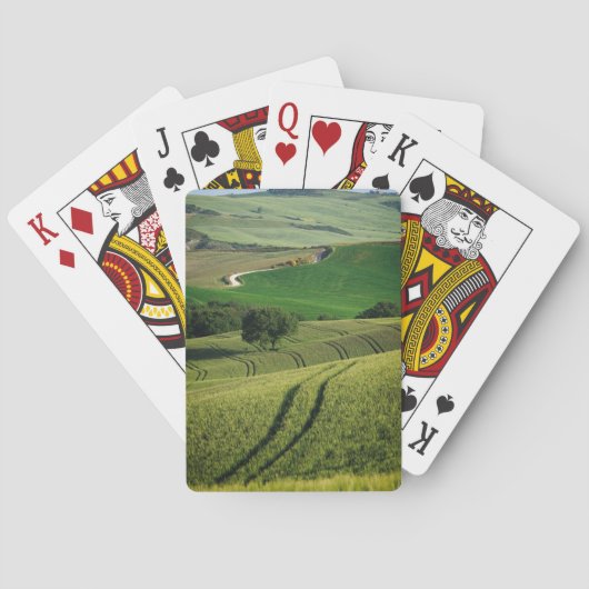 Boomlijnen op het groene Tuscany-pokerdek Speelkaarten (Achterkant)