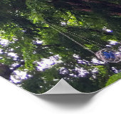 Boomluifel Hanging Decorative Orbs Urban Natuur Poster (Hoek)