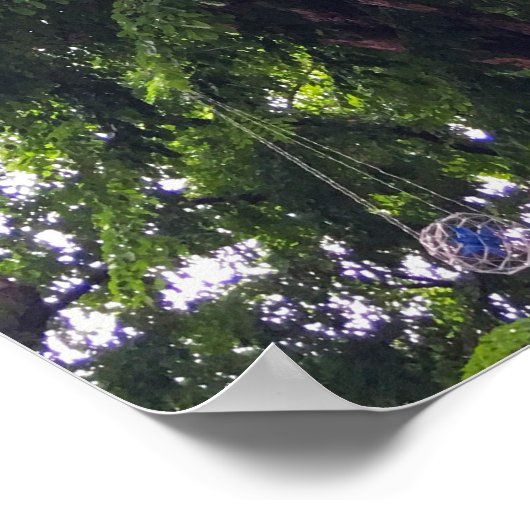 Boomluifel Hanging Decorative Orbs Urban Natuur Poster (Hoek)