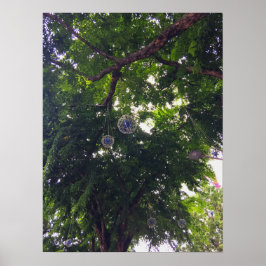 Boomluifel Hanging Decorative Orbs Urban Natuur Poster