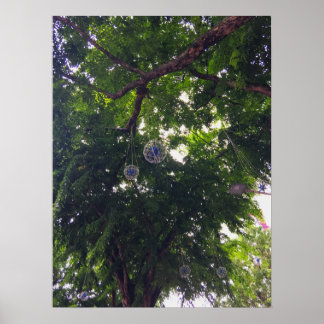 Boomluifel Hanging Decorative Orbs Urban Natuur Poster