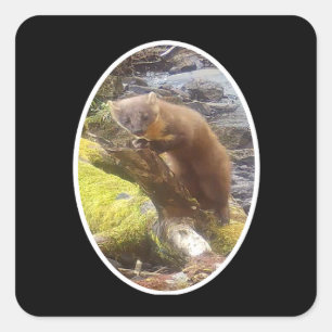 Boommarter Op Boomstam Bosdier Natuur Kunst Vierkante Sticker
