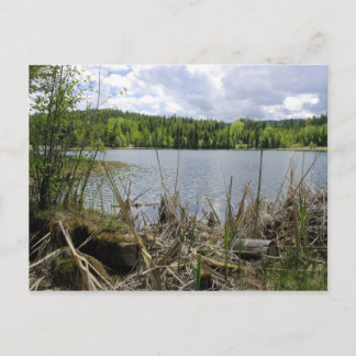 Boommeer en Sky Marshall Lake Boundary B.C. Briefkaart